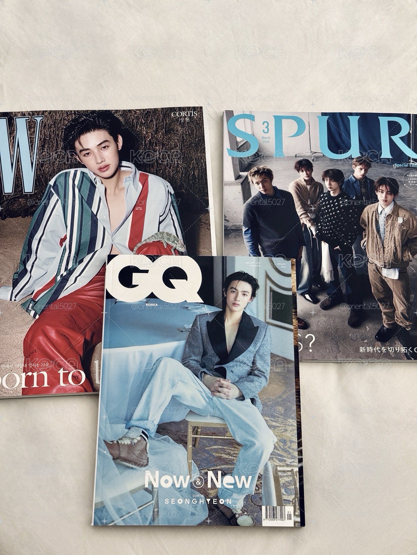 W雜誌/GQ雜誌/SPUR雜誌