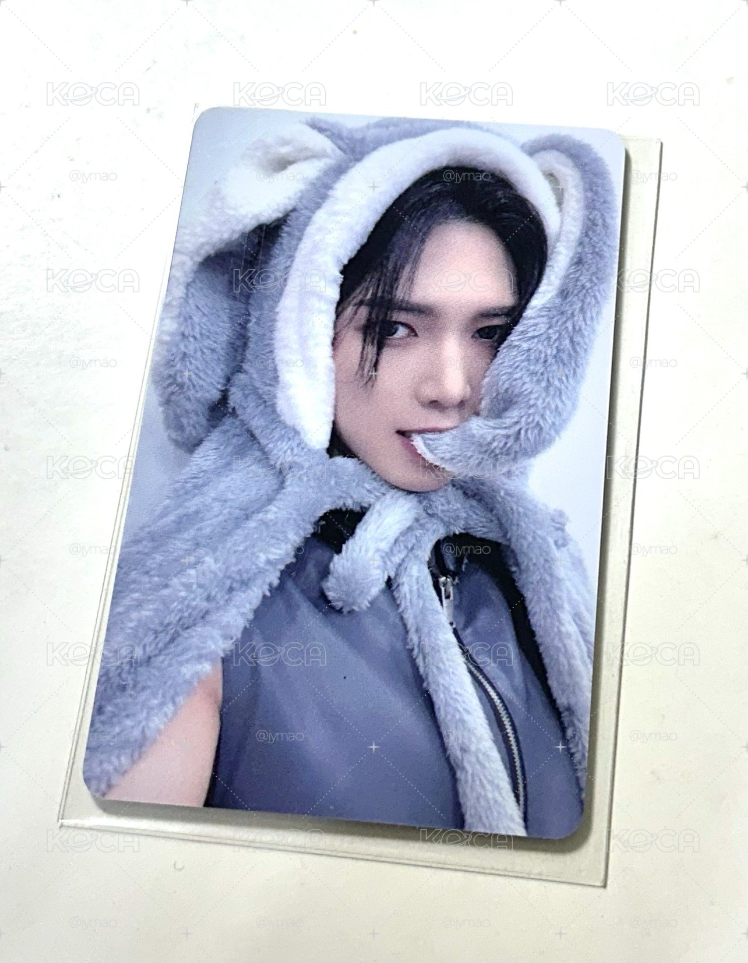From the witness ms 灰兔尚