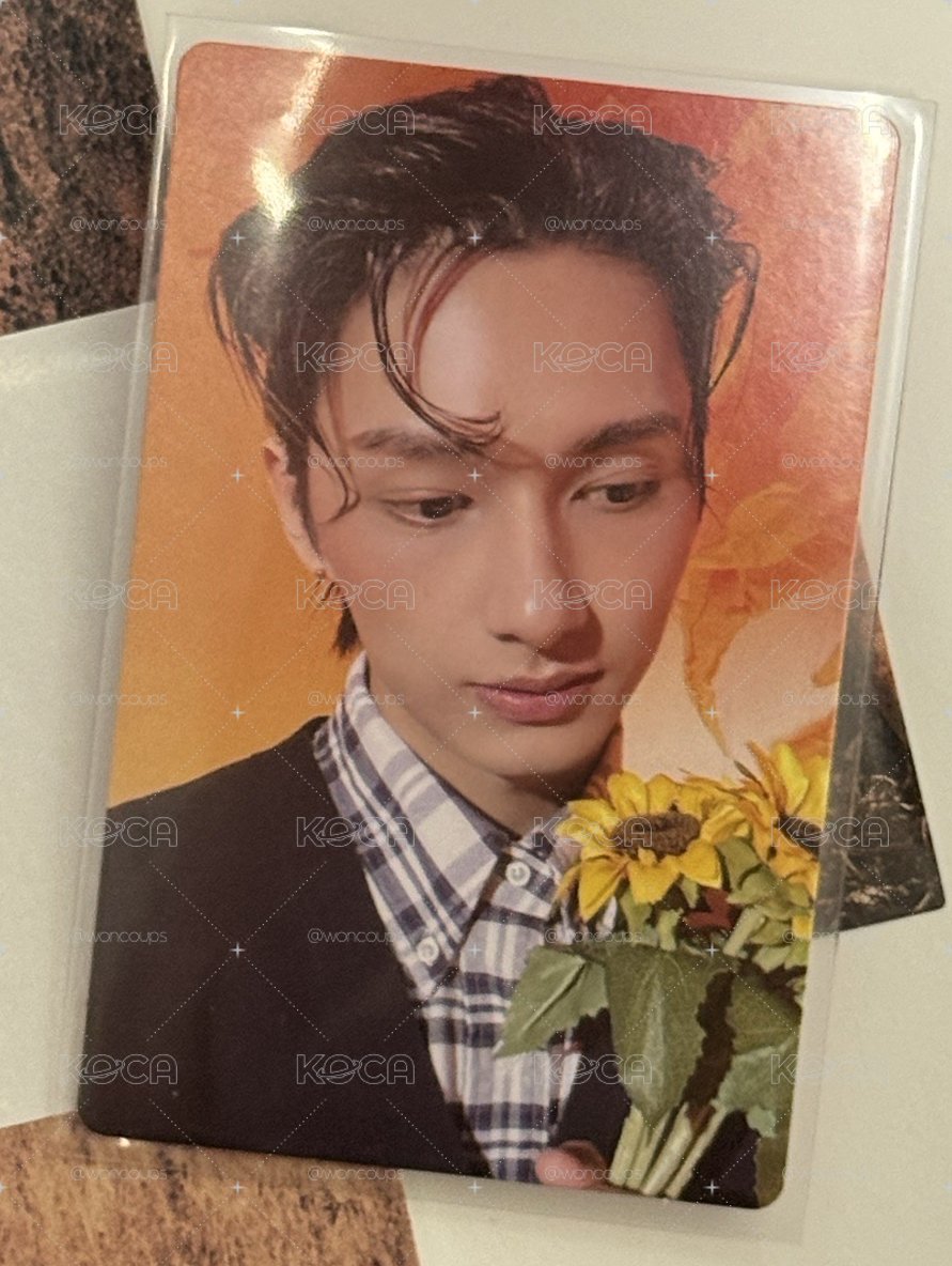 Seventeen Jun 精選專