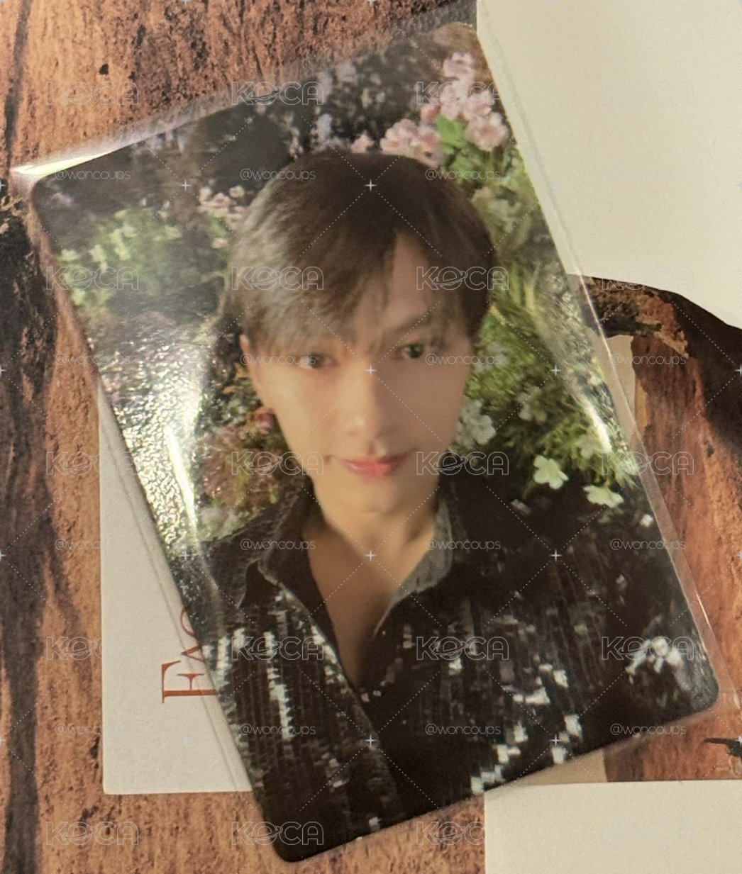 Seventeen Jun 正規四 