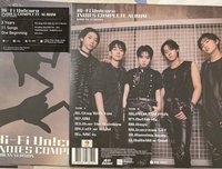 INDIES 黑膠唱片 