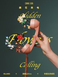島island 非遺北京絨花：藏花來電