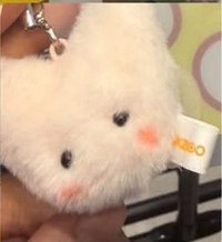 寅