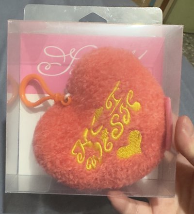 Steady 鑰匙圈吊飾 毛絨鏡子掛件