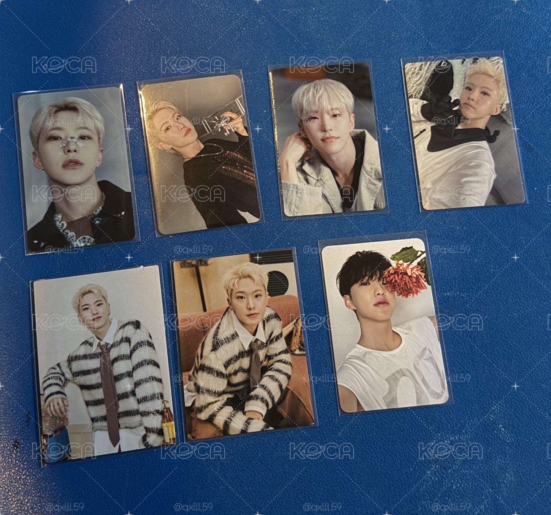 SVT Hoshi小卡