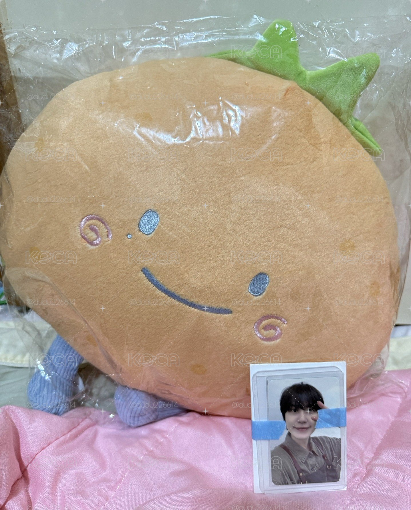SJ market 圭賢橘子抱枕