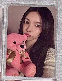 wvs預售玧