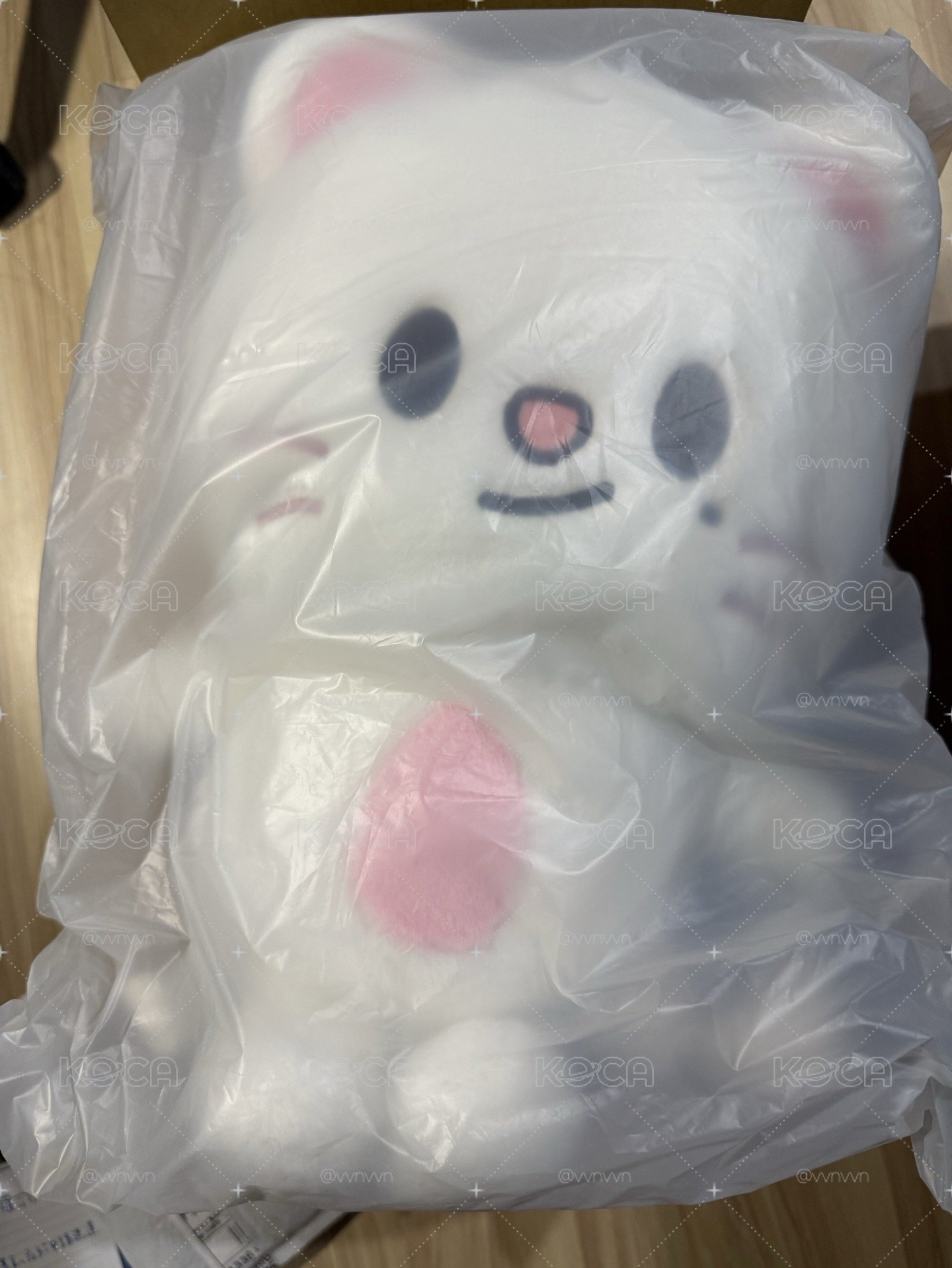 SKZ 六期飯咪後背包 含卡 小貂