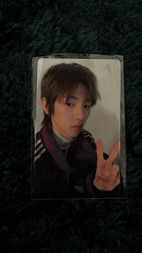 迷二 wvs studio 訓