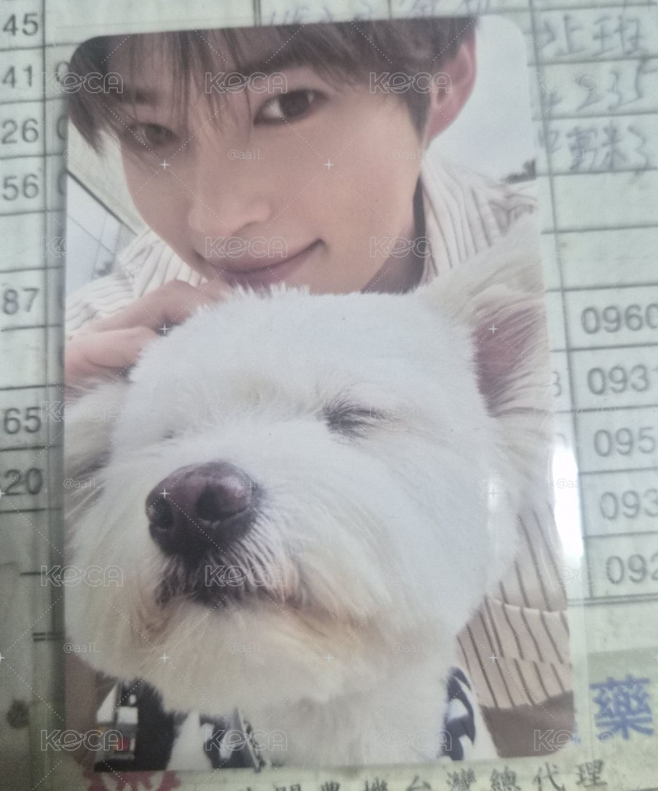 正規一 韓彬🐶