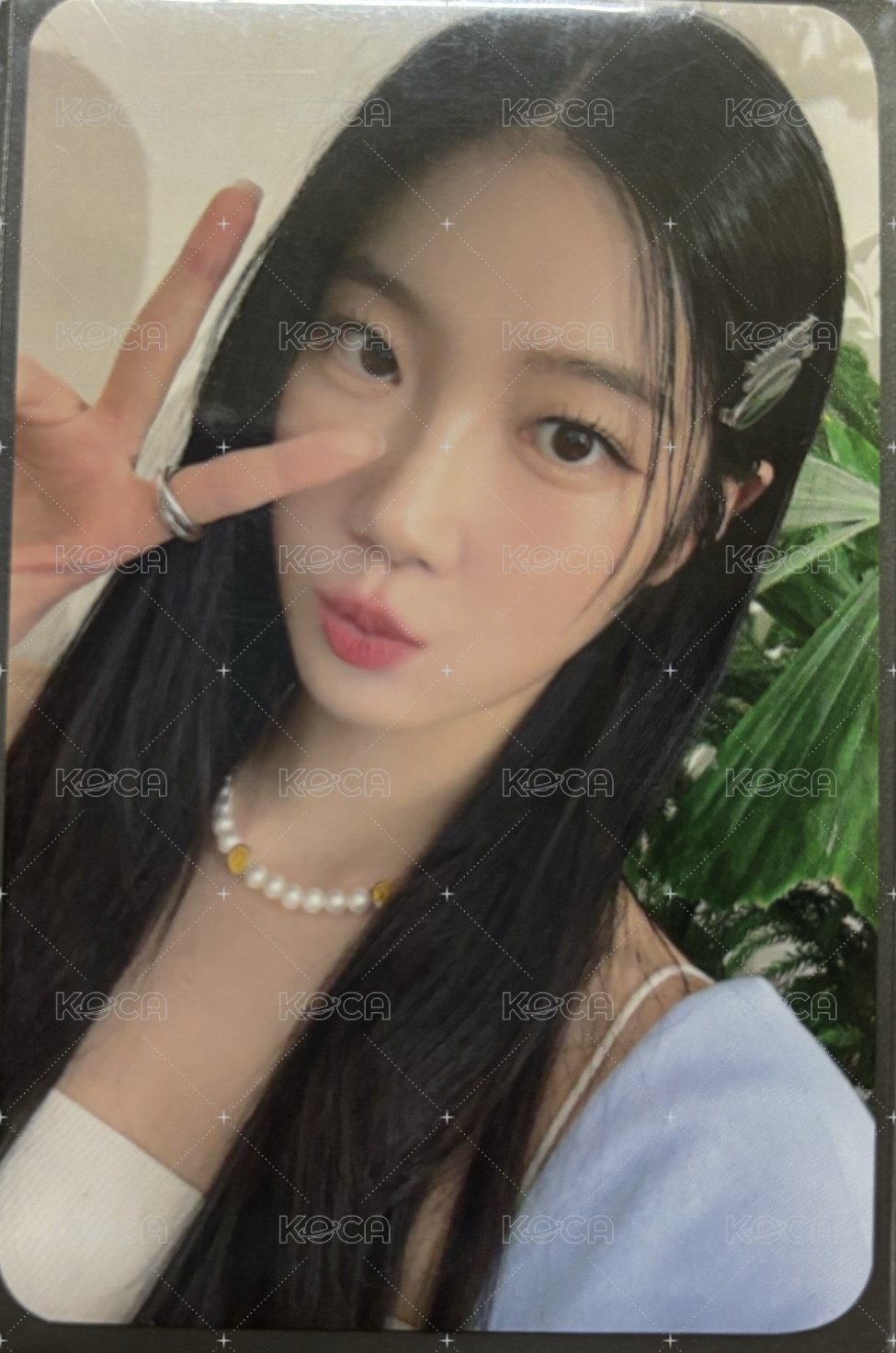 mk葉