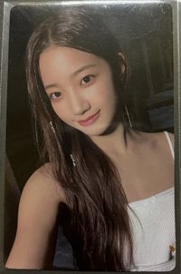 wvs葉