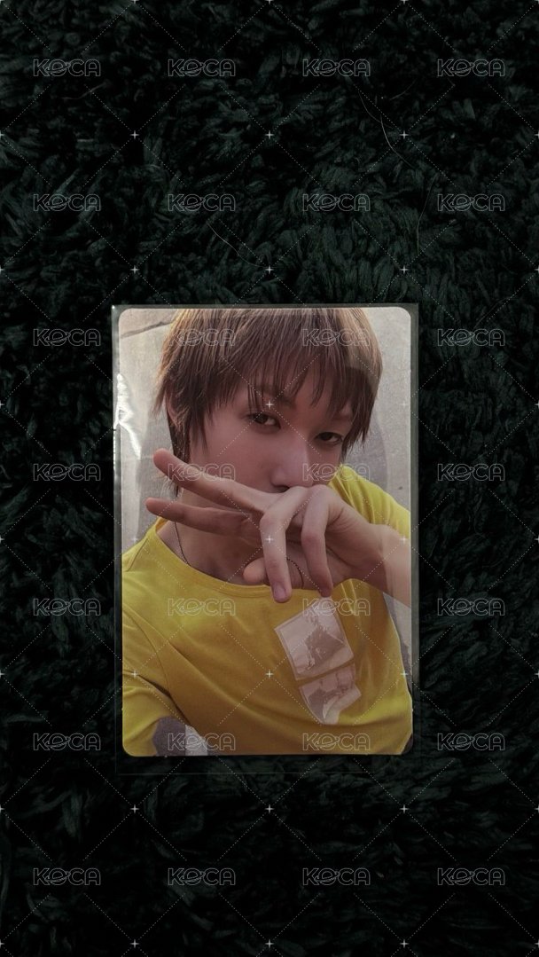 迷二  B版馬丁全專