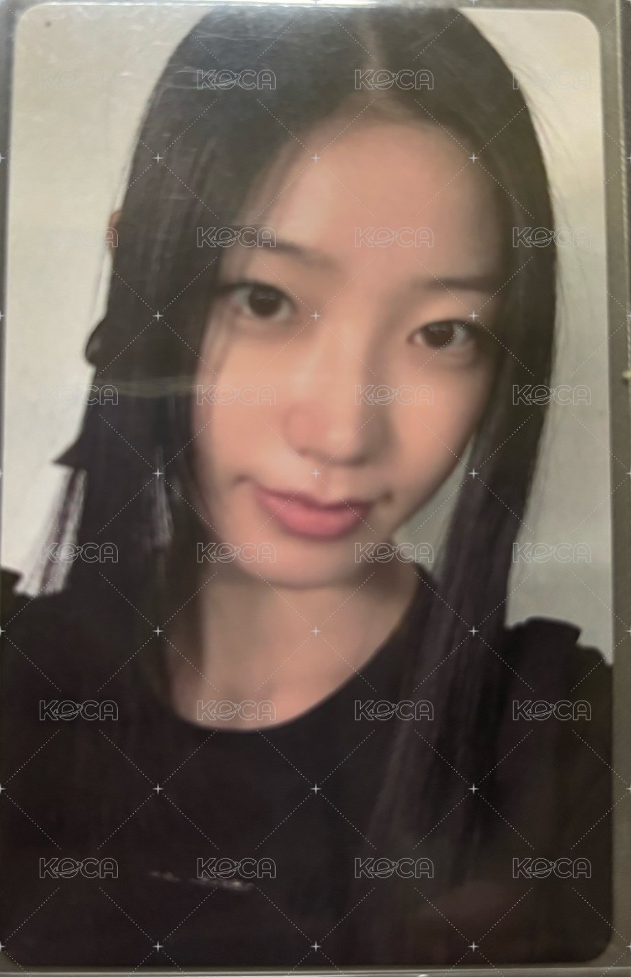 wvs葉