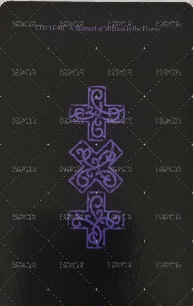 迷八 yzy 3.0 簽售卡  背面