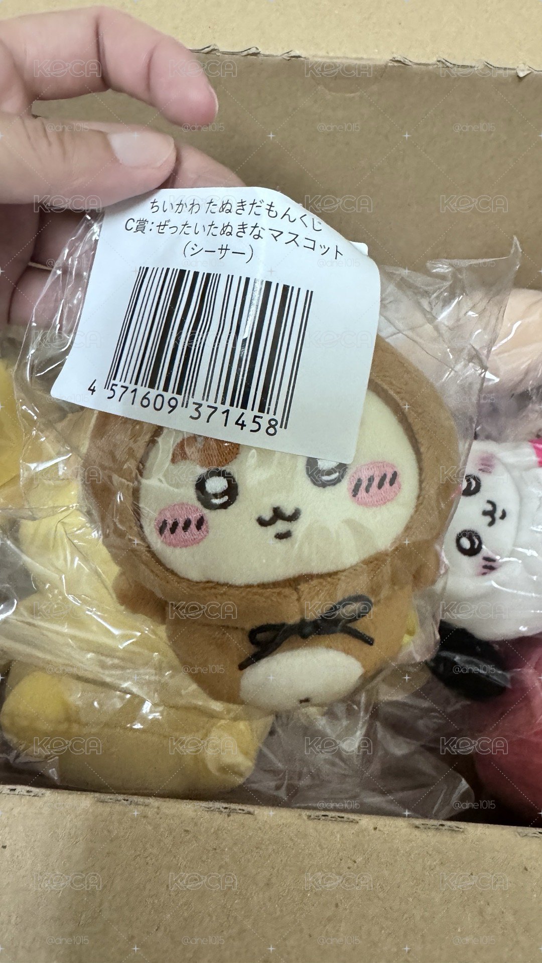 吉伊卡哇日本狸貓一番賞C賞獅薩全新現貨