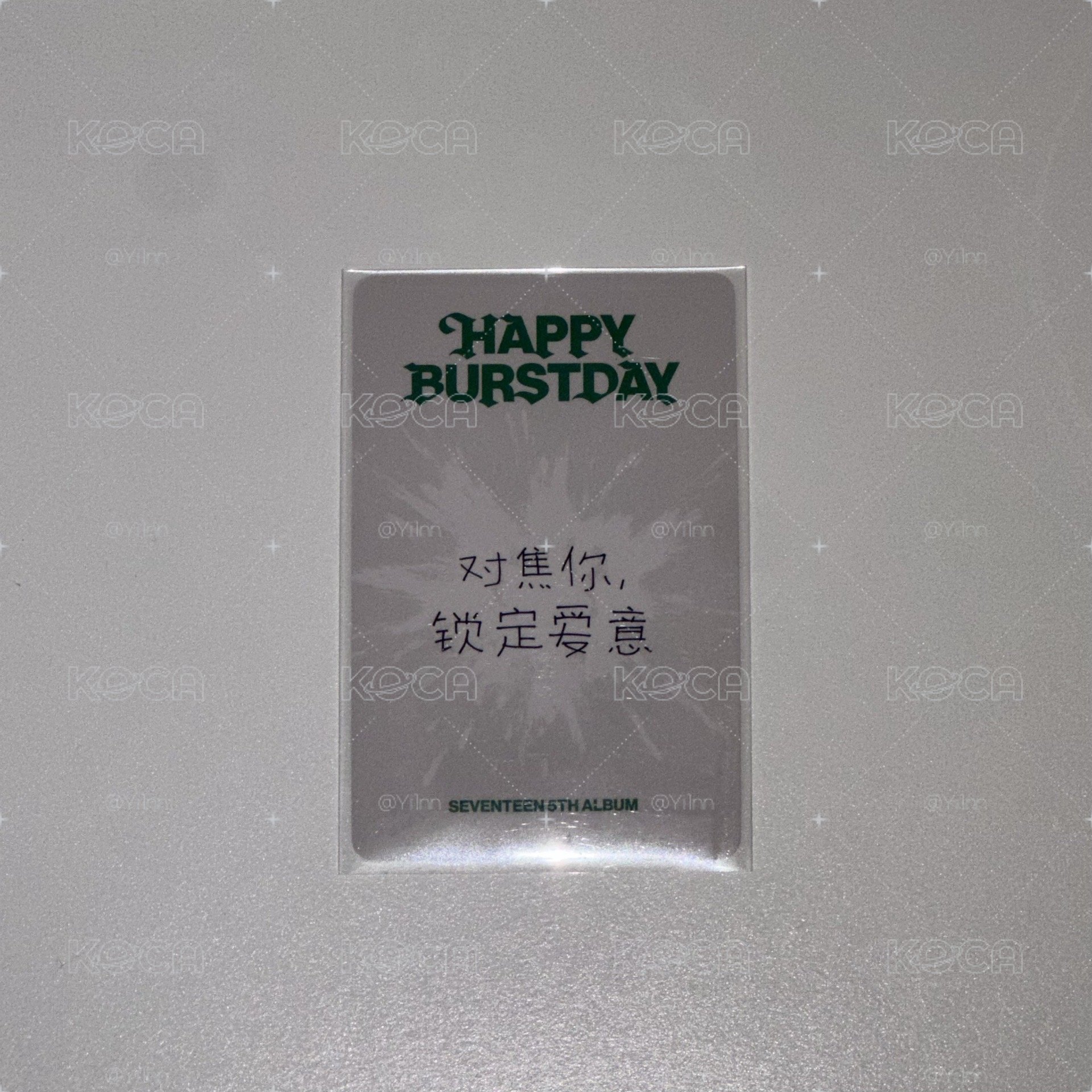 𝗦𝗩𝗧 正五碩中背