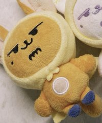 黃春（無原袋