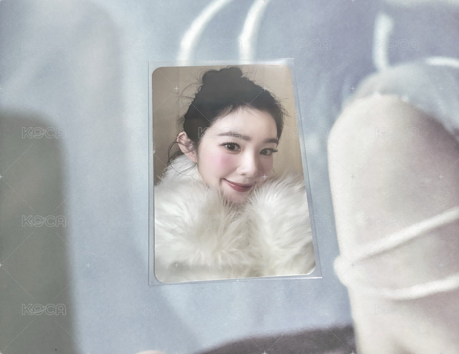 兔兔