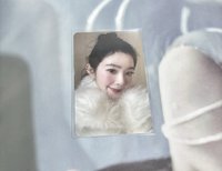 兔兔