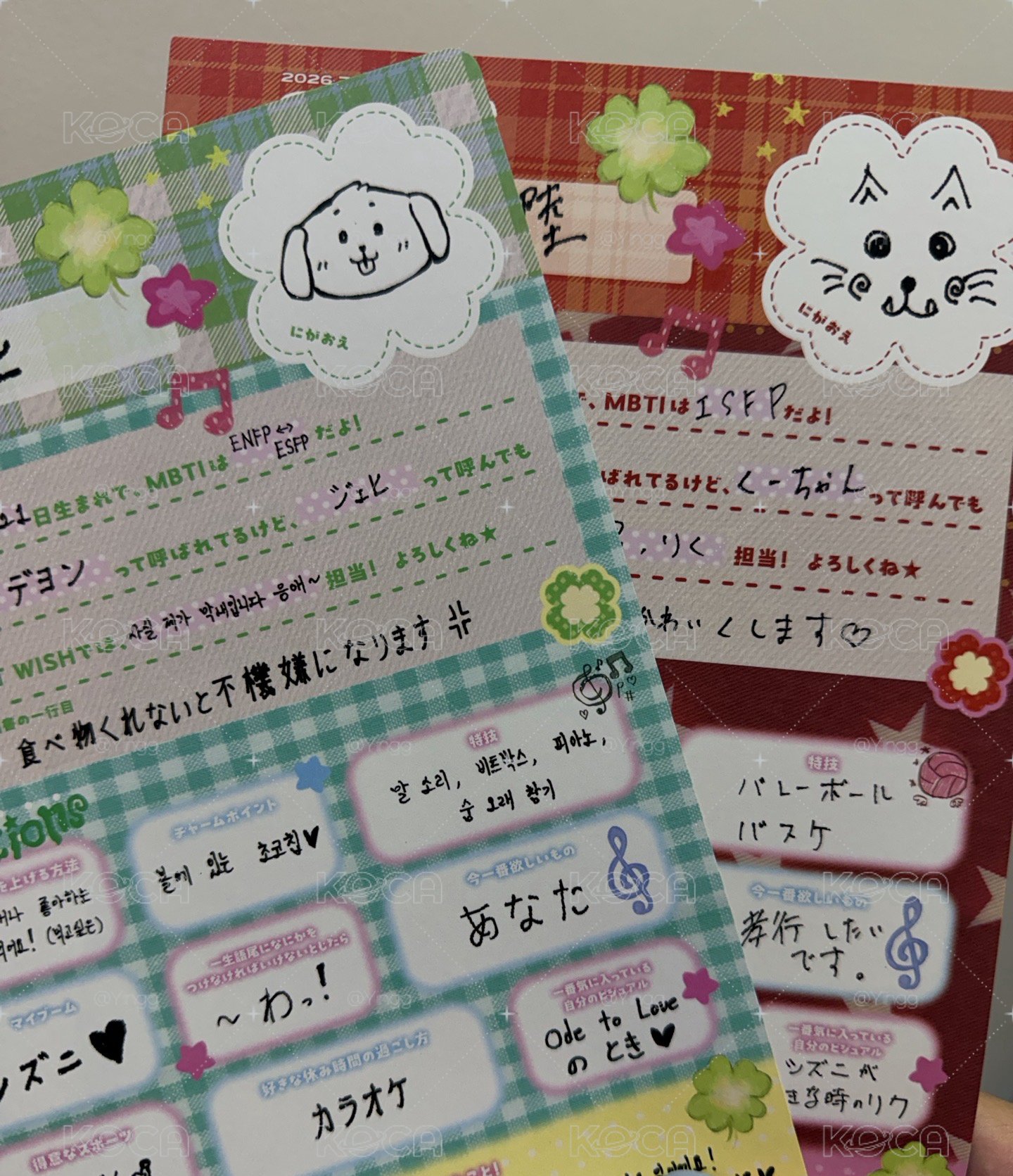 🐈‍⬛🌳手渡明信片