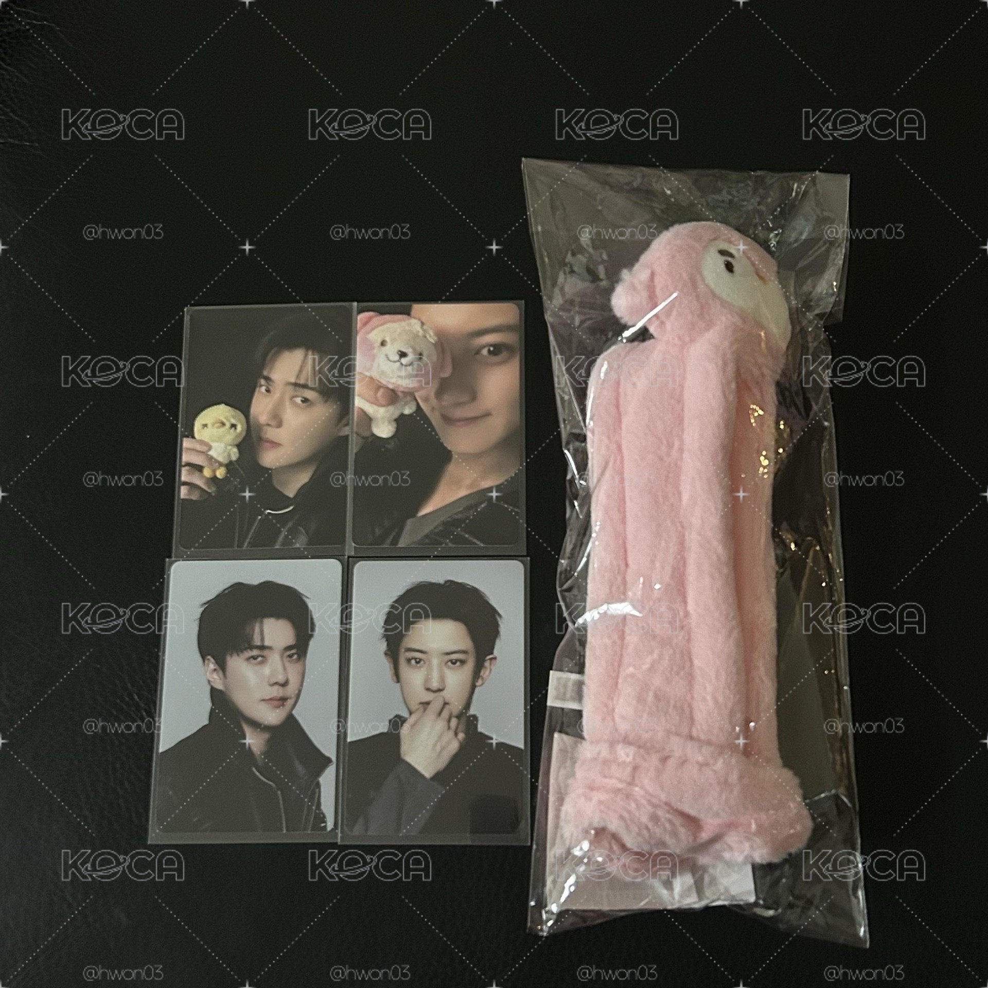 現貨 EXO嘟燦手燈套+小卡