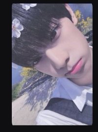 二週打歌