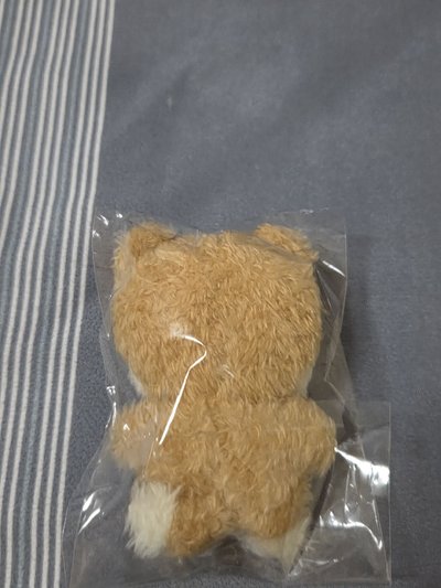 磁鐵娃