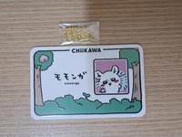 小桃鼠入場禮