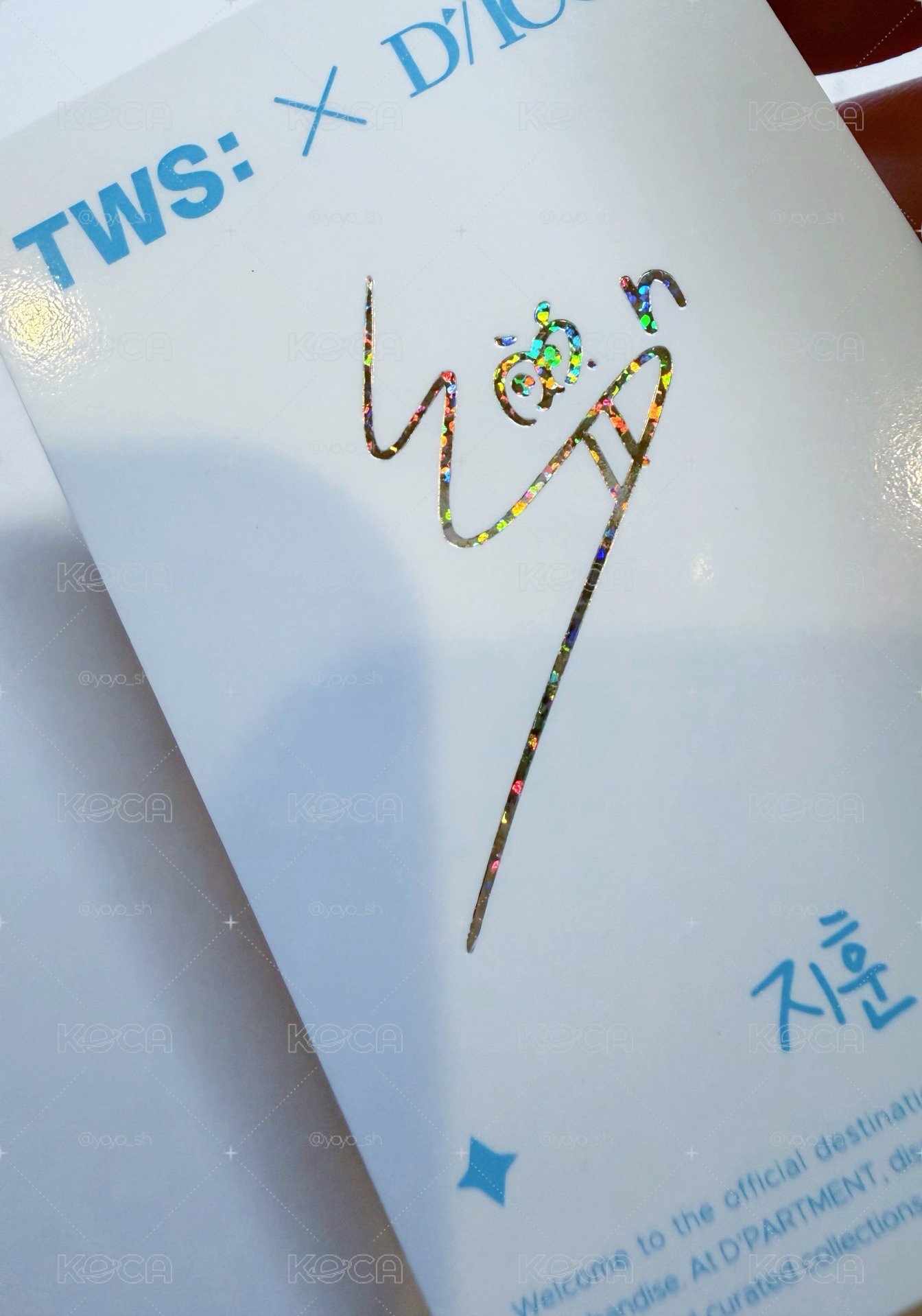 TWS 志薫 DICON 隨機卡