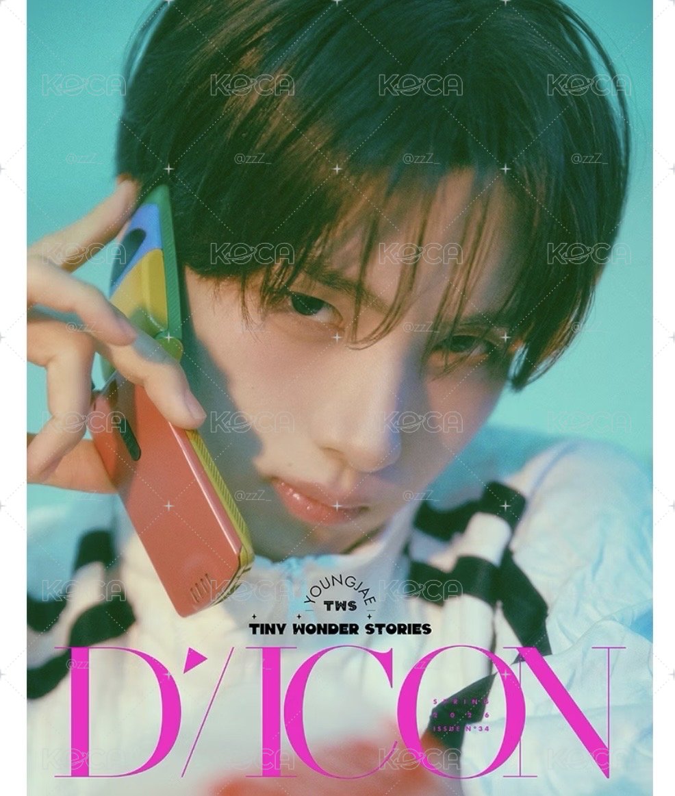 DICON WVS B版