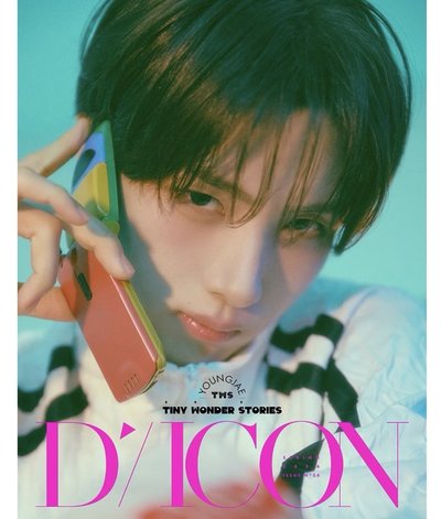 DICON WVS B版