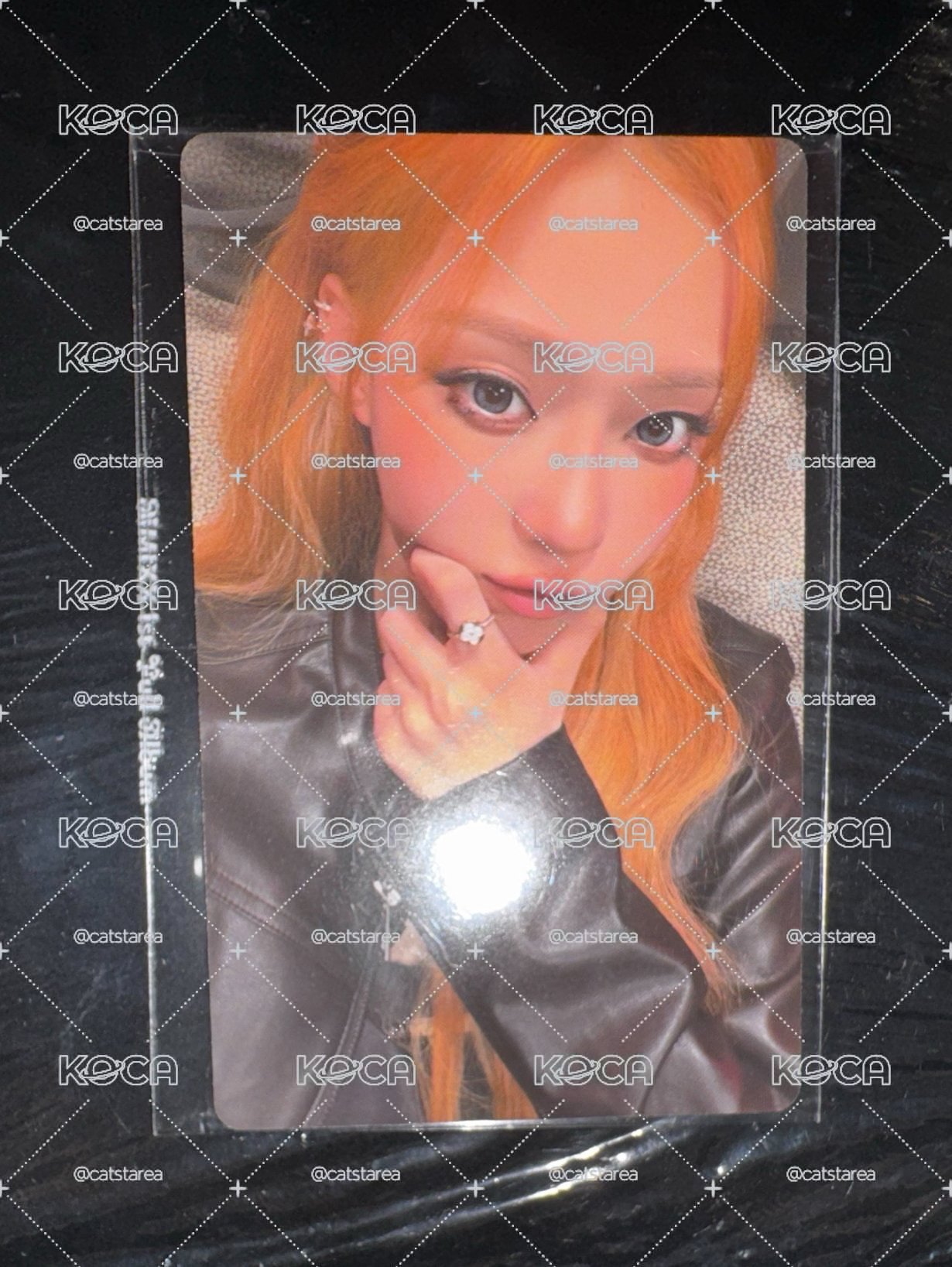 wvs冬