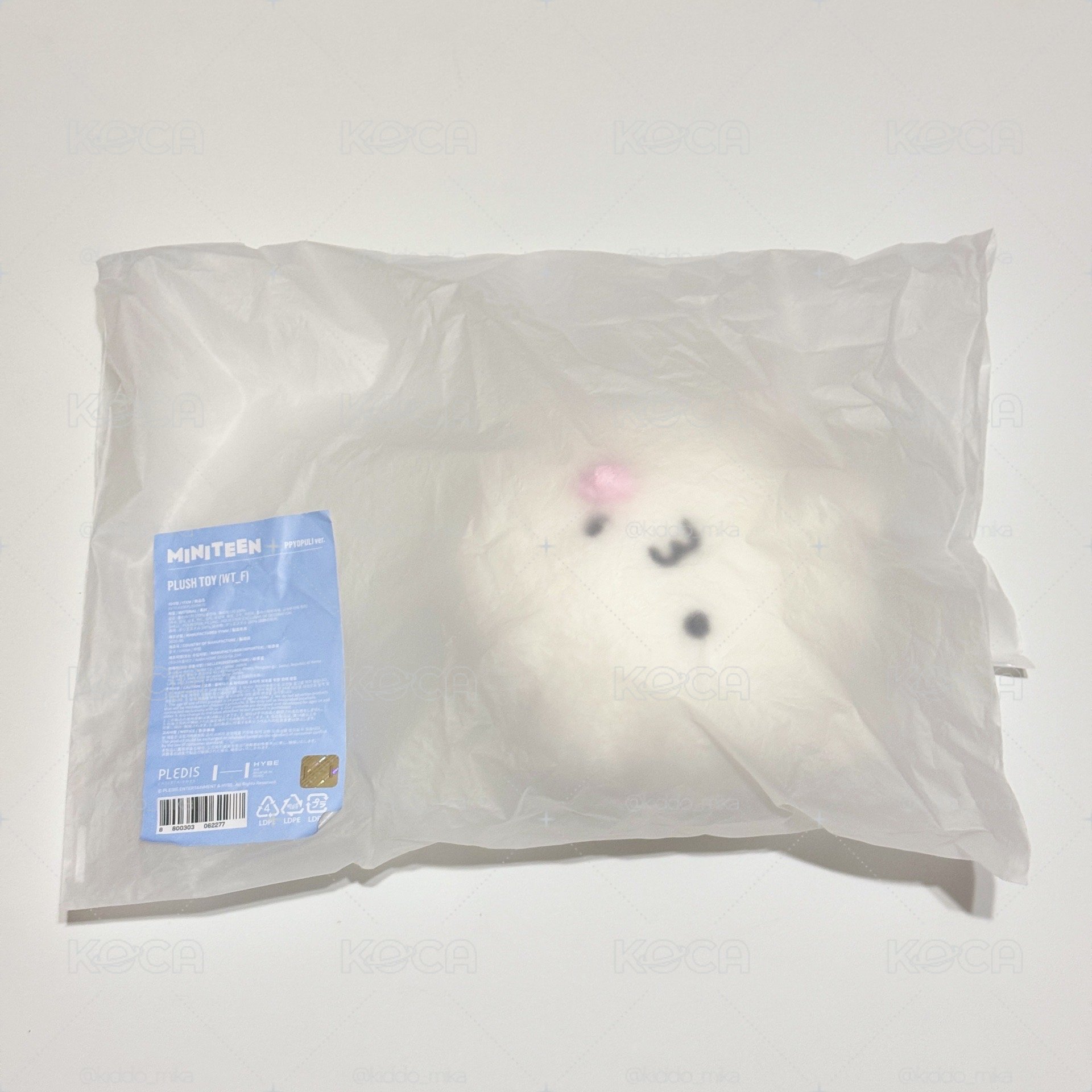 勳 飯粒 MINITEEN 站娃
