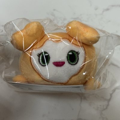 四巡 吊娃 趴娃 志效
