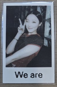 wvs 預售早鳥卡