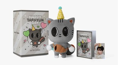 (代購)TXT生日娃