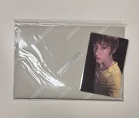 灰版馬