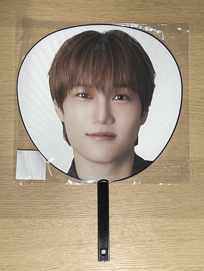 EXO KAI🇯🇵日巡大王扇