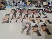 萌花全收