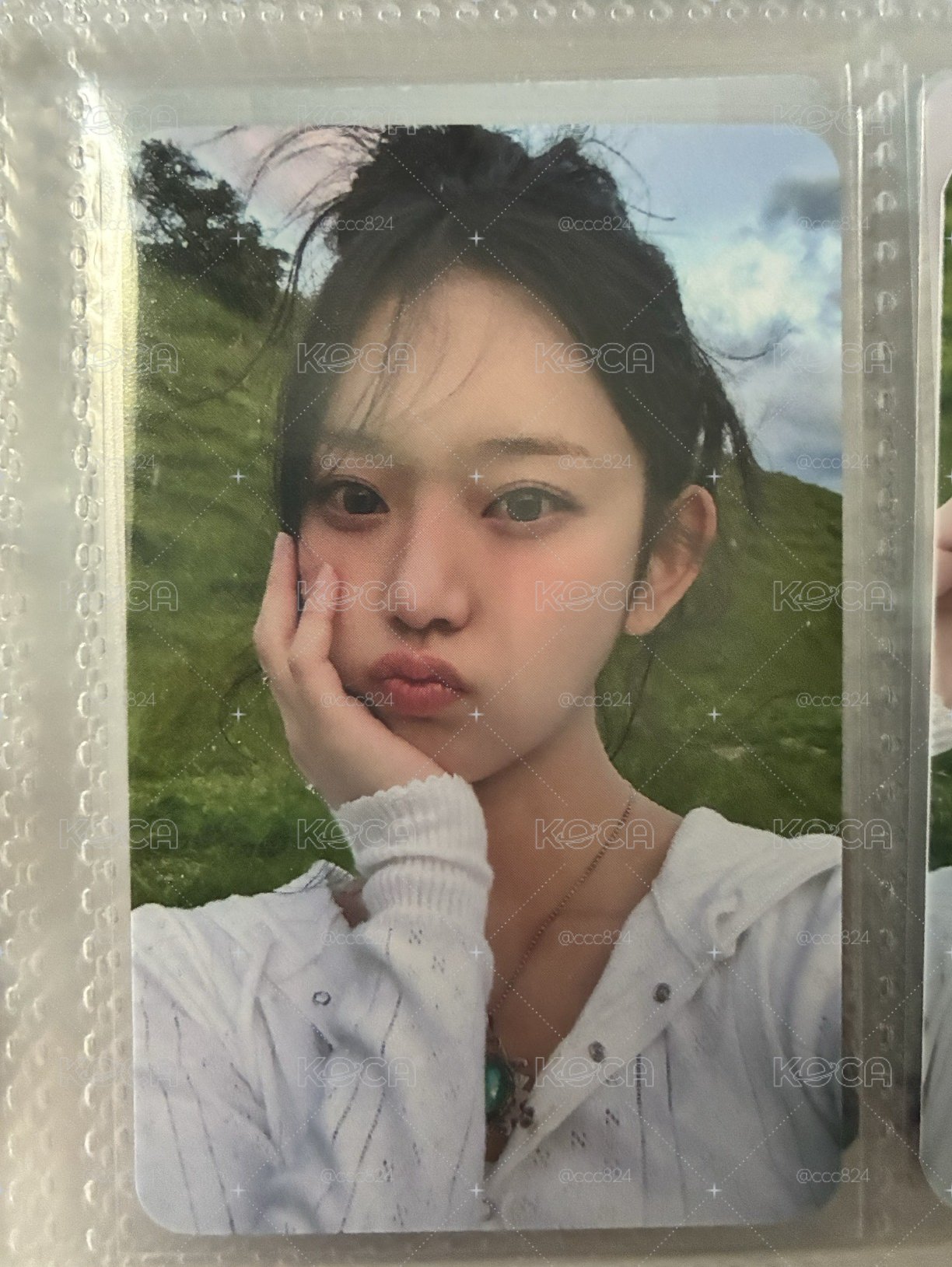 leesol wm幸運卡