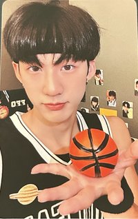 Dolfan 抽選卡 一起上場吧🏀