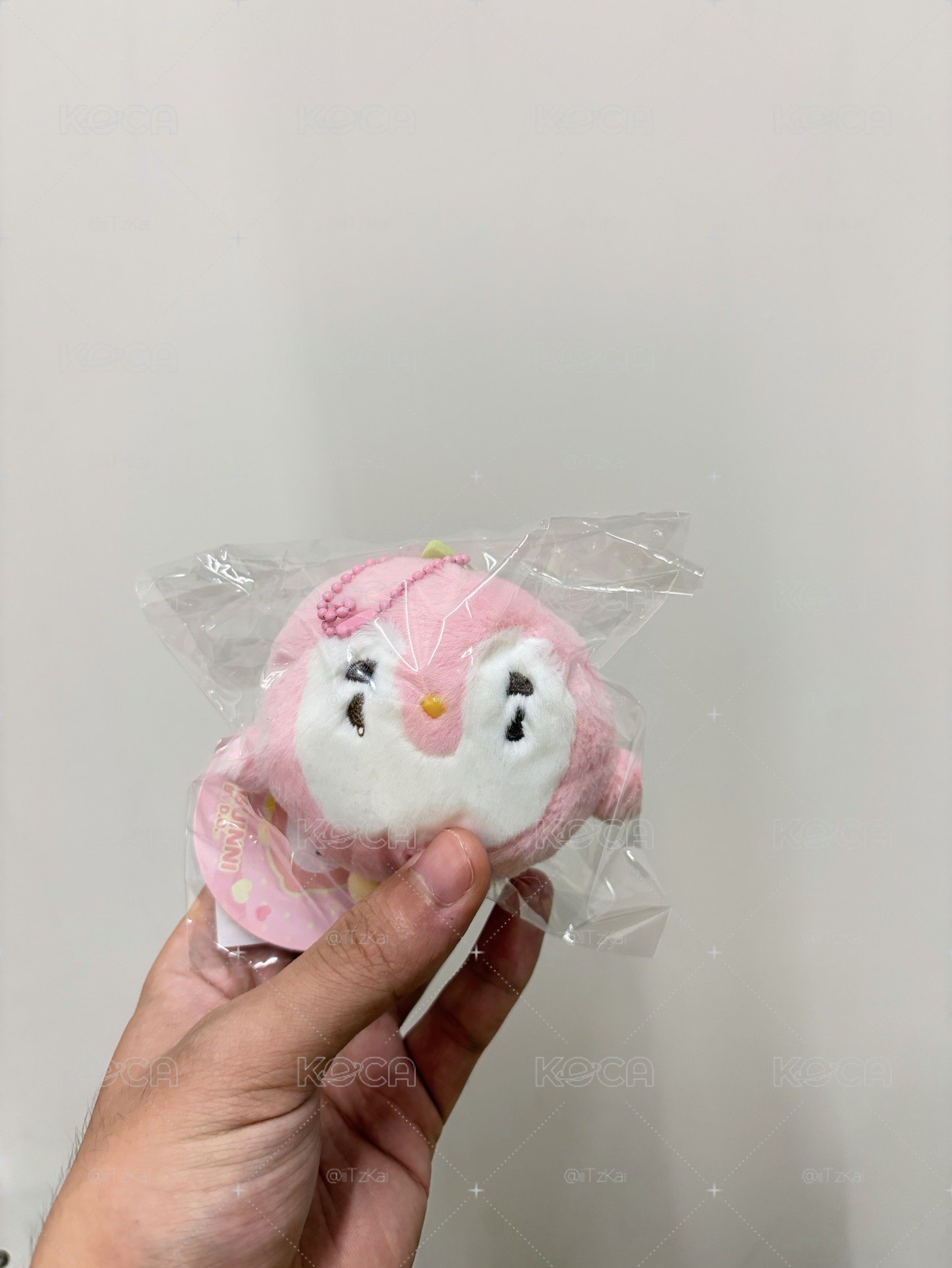 D.O.吊娃