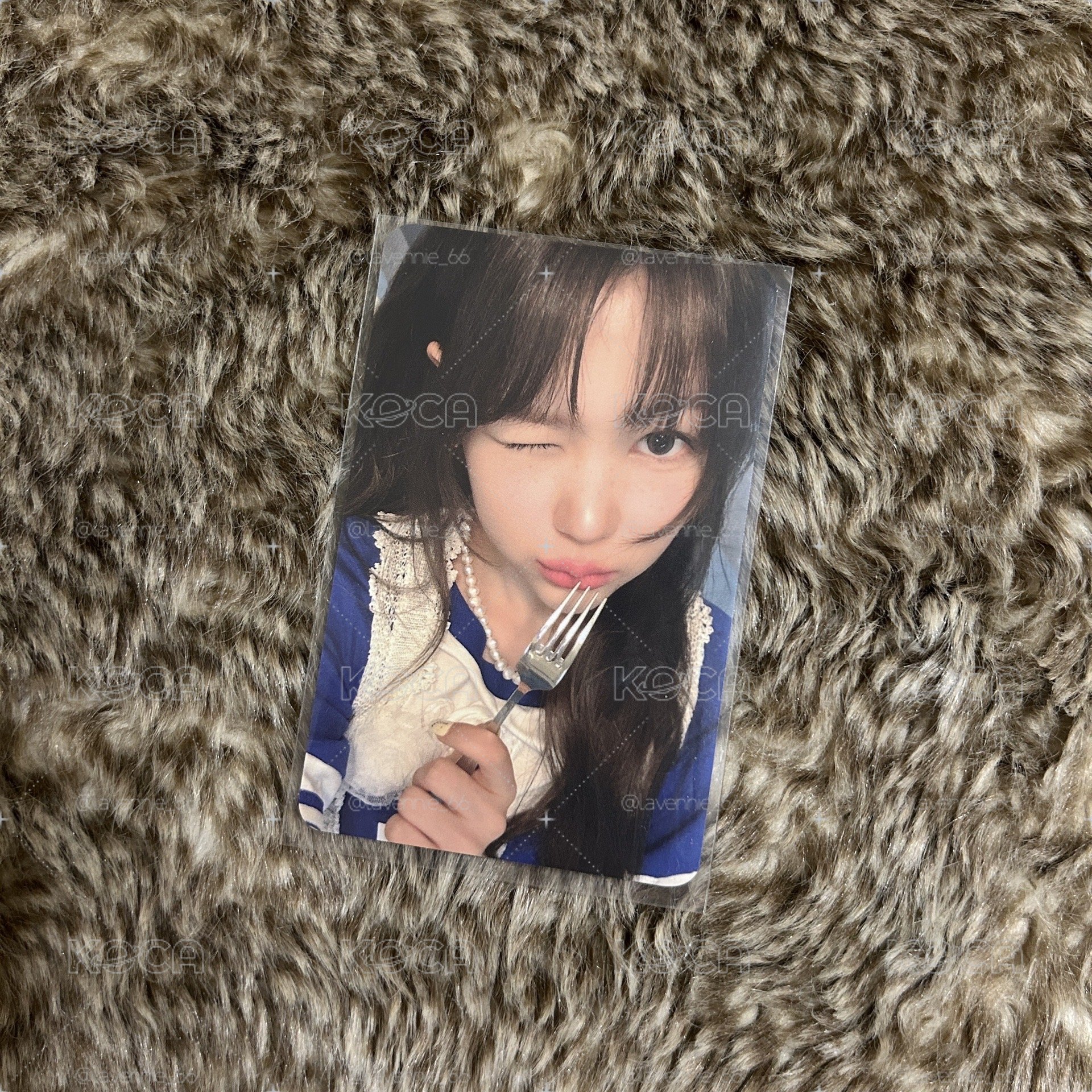 Yeon focus滿額卡