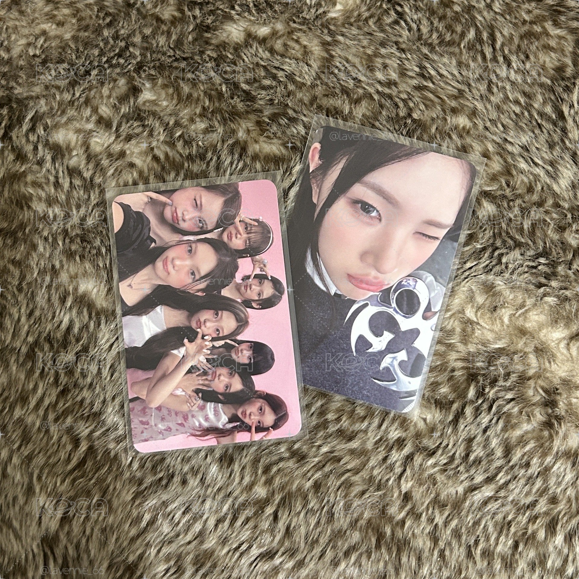 Juun focus專卡+團卡