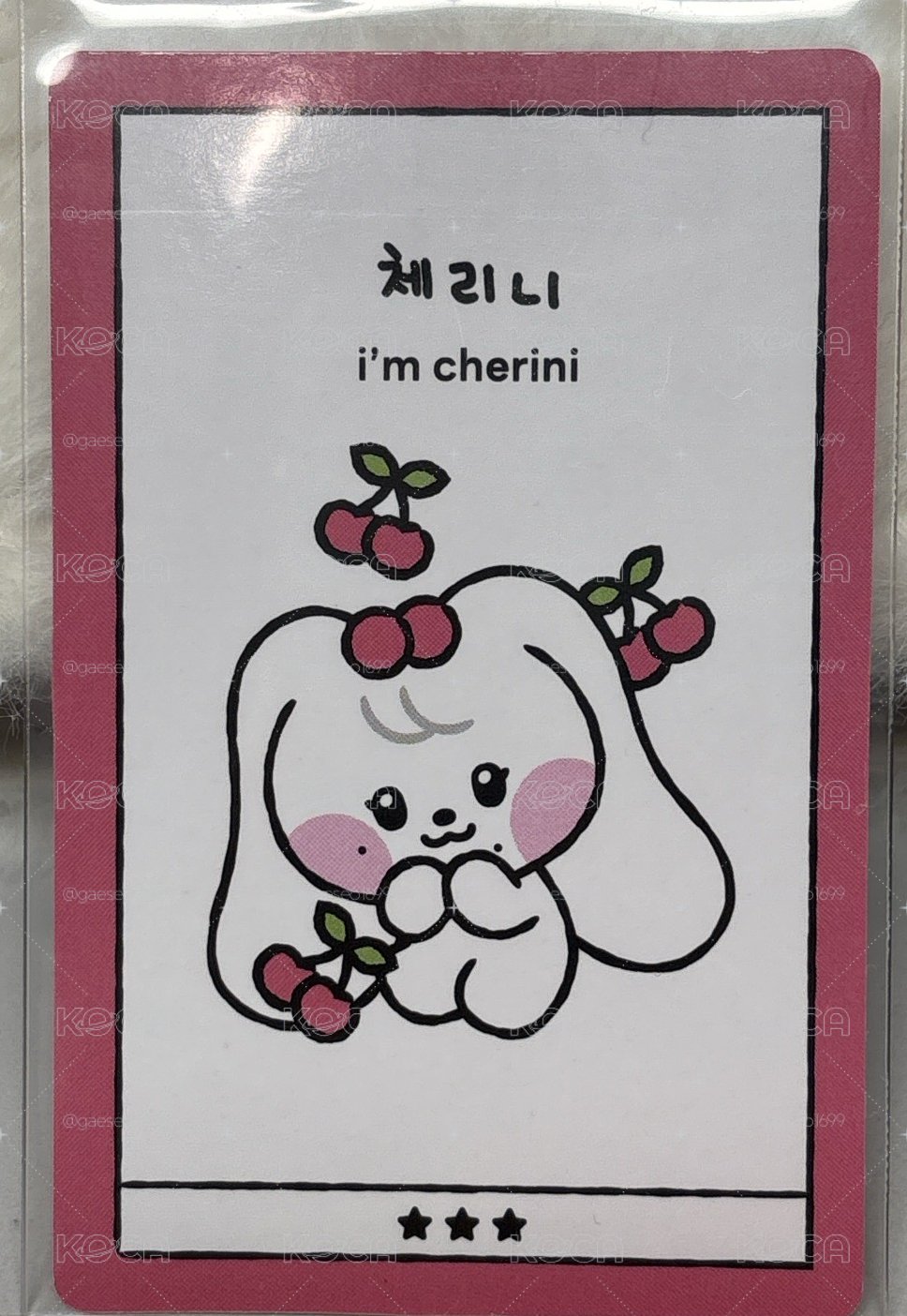 cherini身分卡🐰
