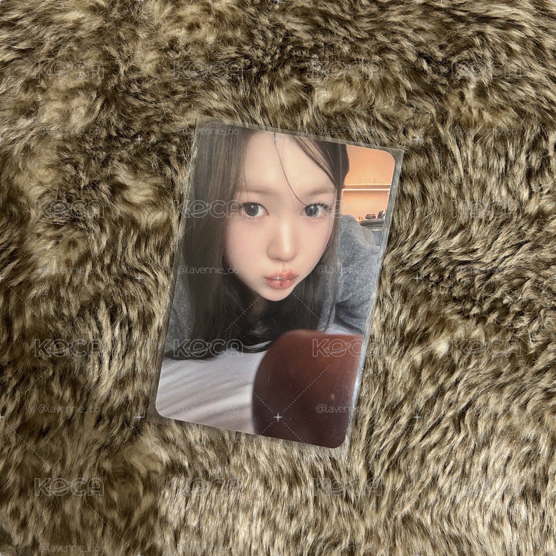 Yeon focus簽售卡