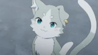 パック
