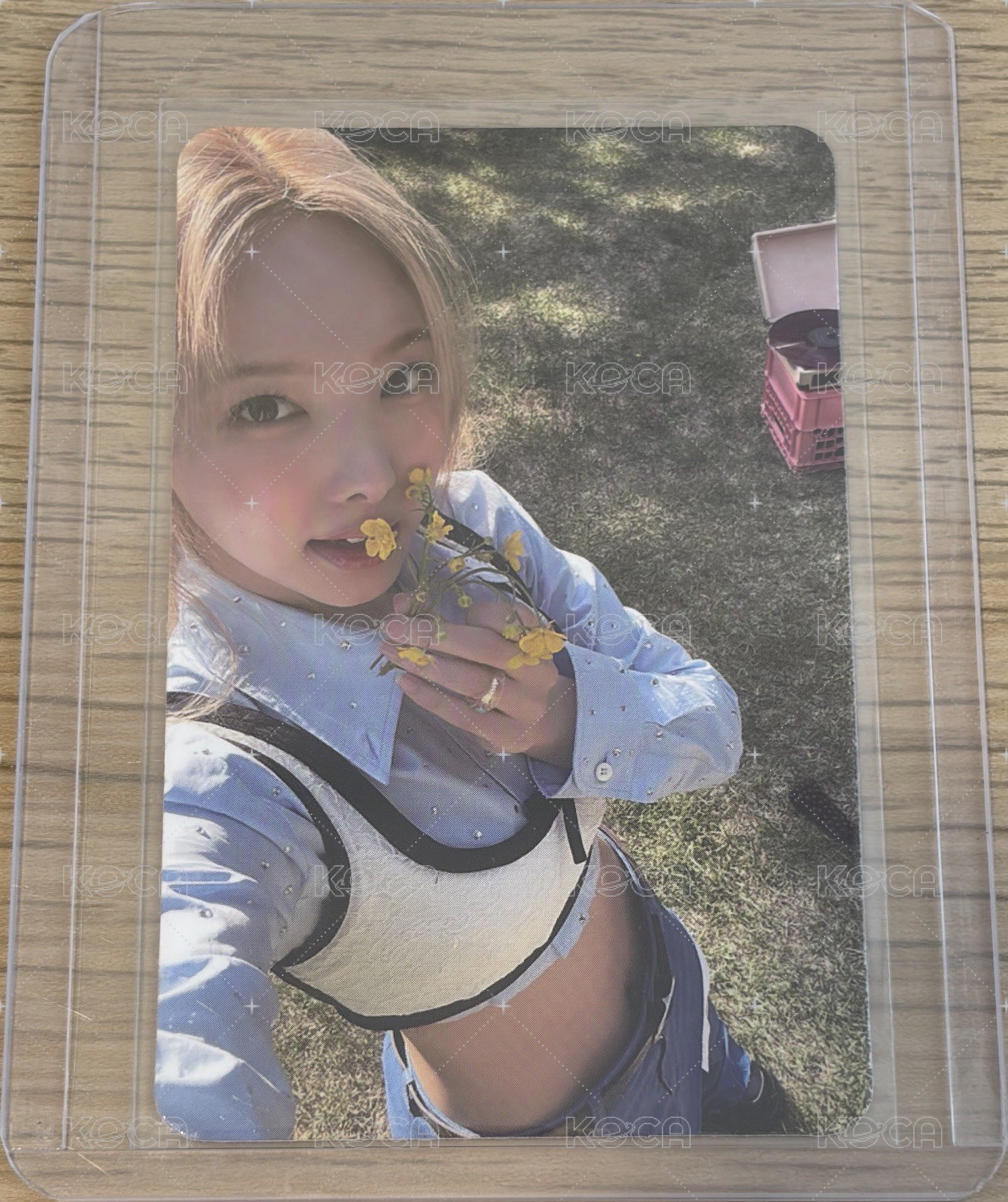 小黃花卡