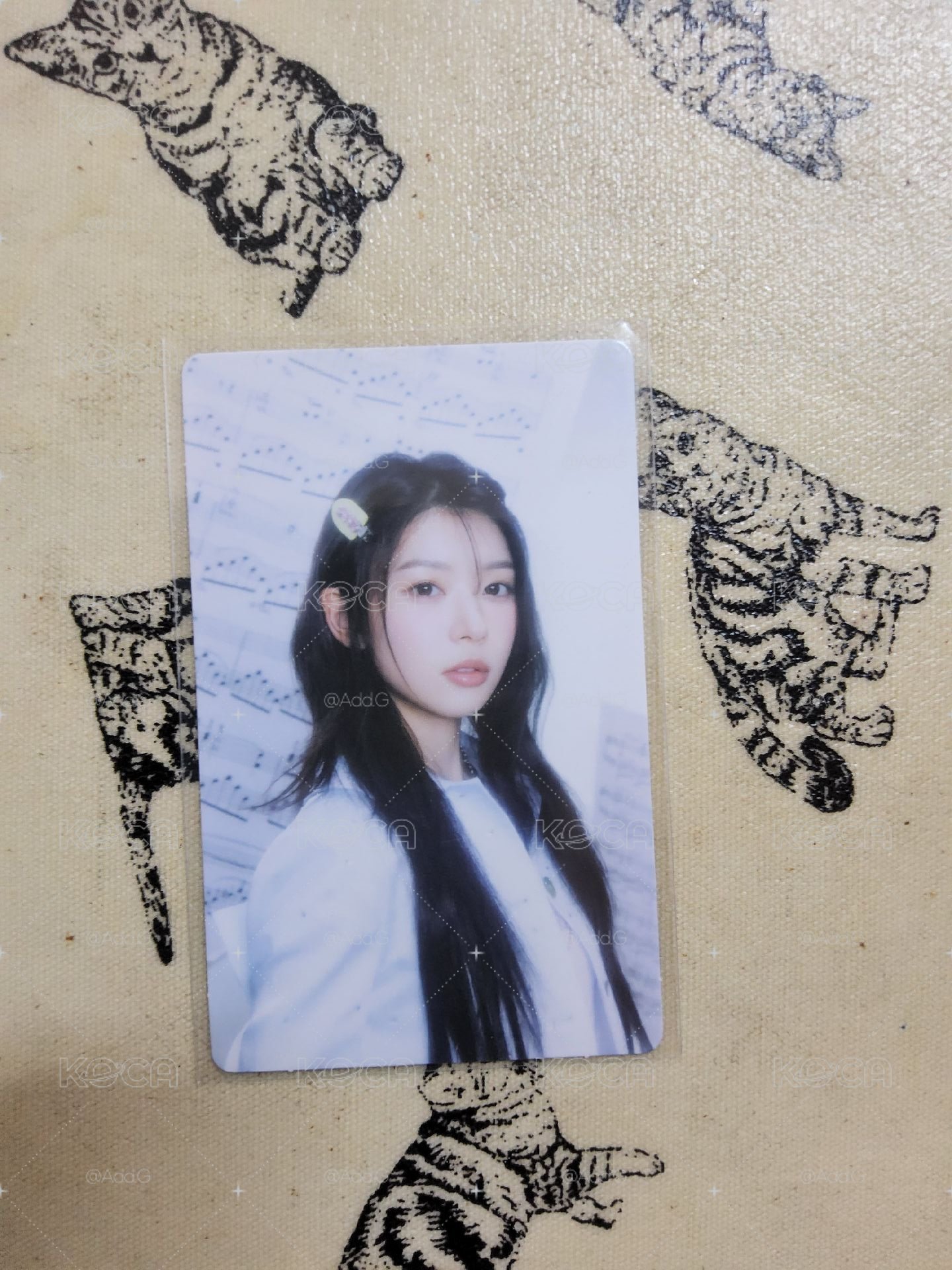 萌